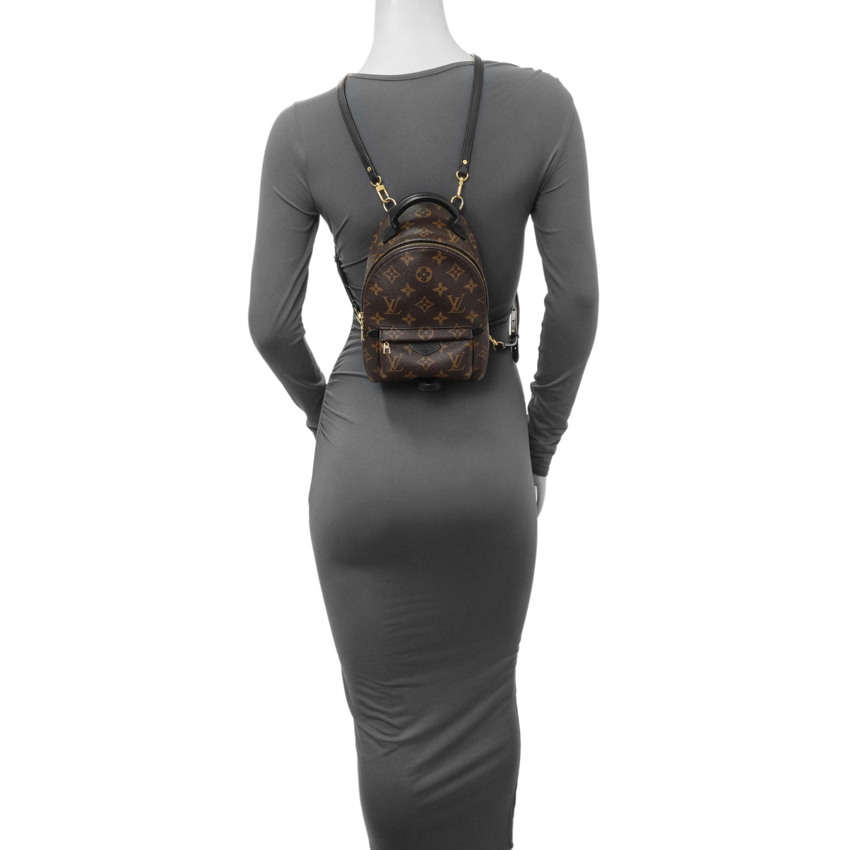 Louis Vuitton Monogarm Palm Springs Backpack Mini Handbags Louis Vuitton