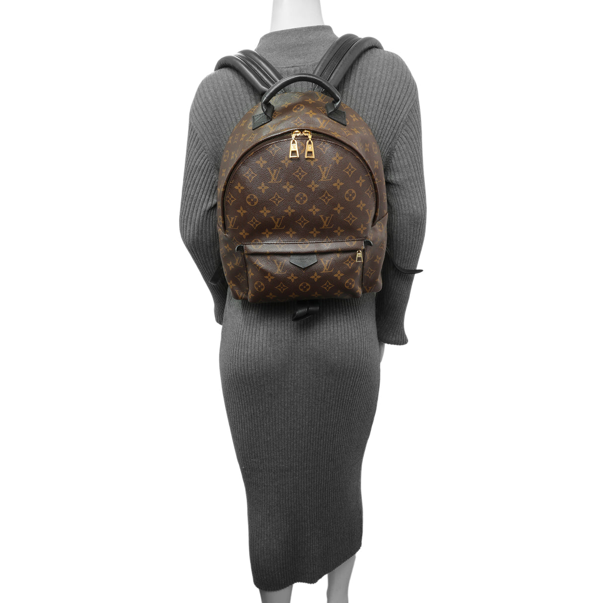 Louis Vuitton Monogram Palm Springs Backpack MM Handbags Louis Vuitton