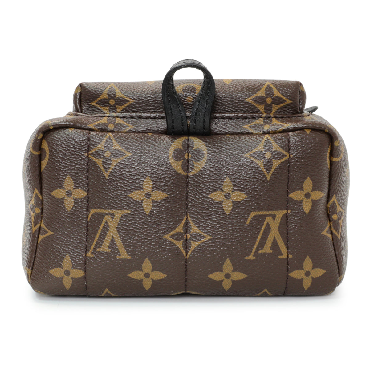 Louis Vuitton Monogram Palm Springs Backpack Mini Handbags Louis Vuitton