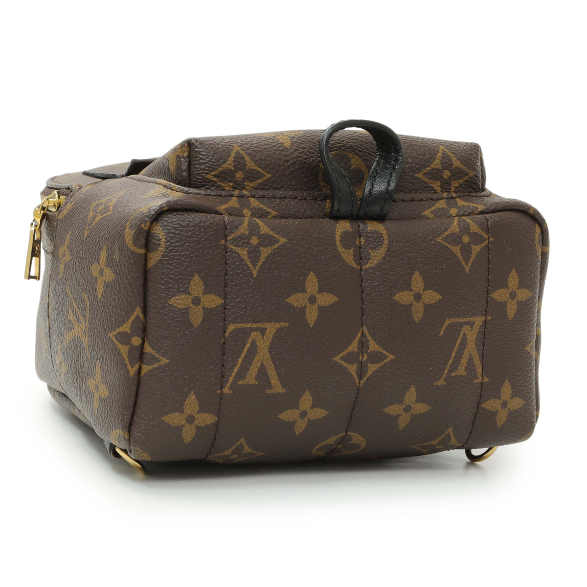 Louis Vuitton Monogram Palm Springs Backpack Mini