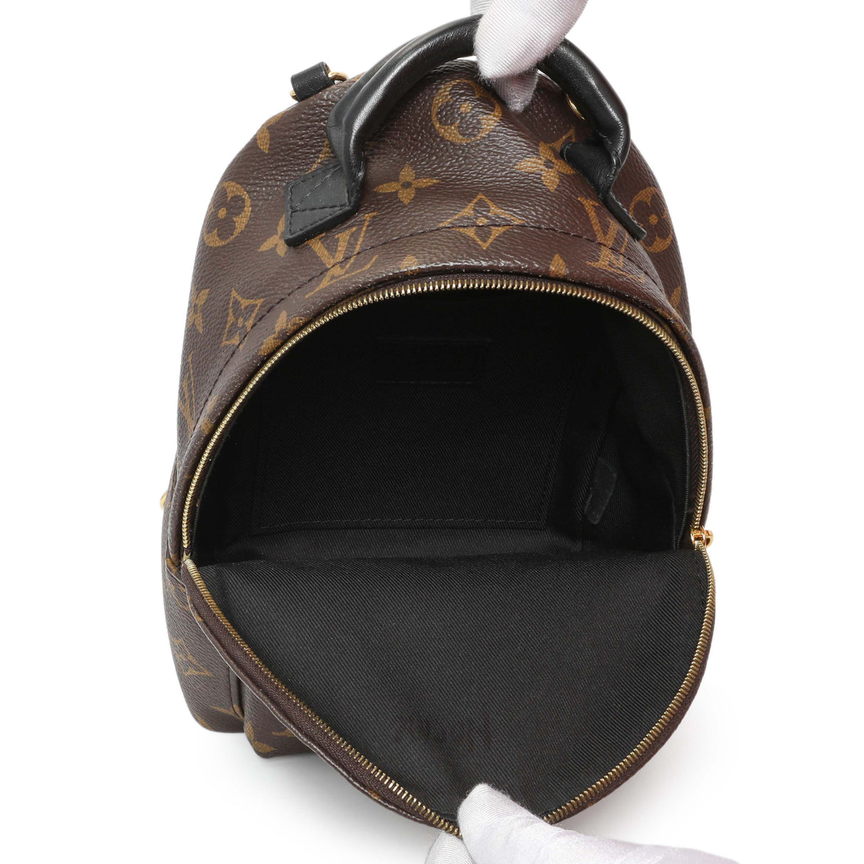 Louis Vuitton Monogram Palm Springs Backpack Mini