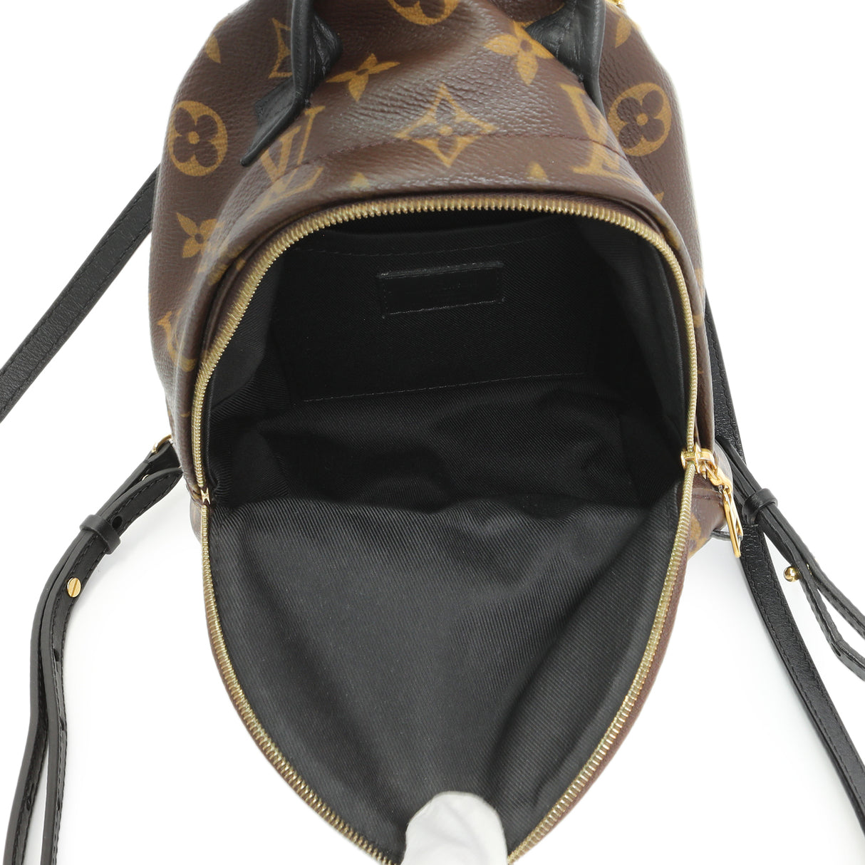 Louis Vuitton Monogram Palm Springs Backpack Mini Handbags Louis Vuitton