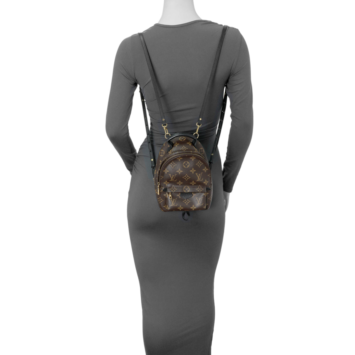 Louis Vuitton Monogram Palm Springs Backpack Mini Handbags Louis Vuitton