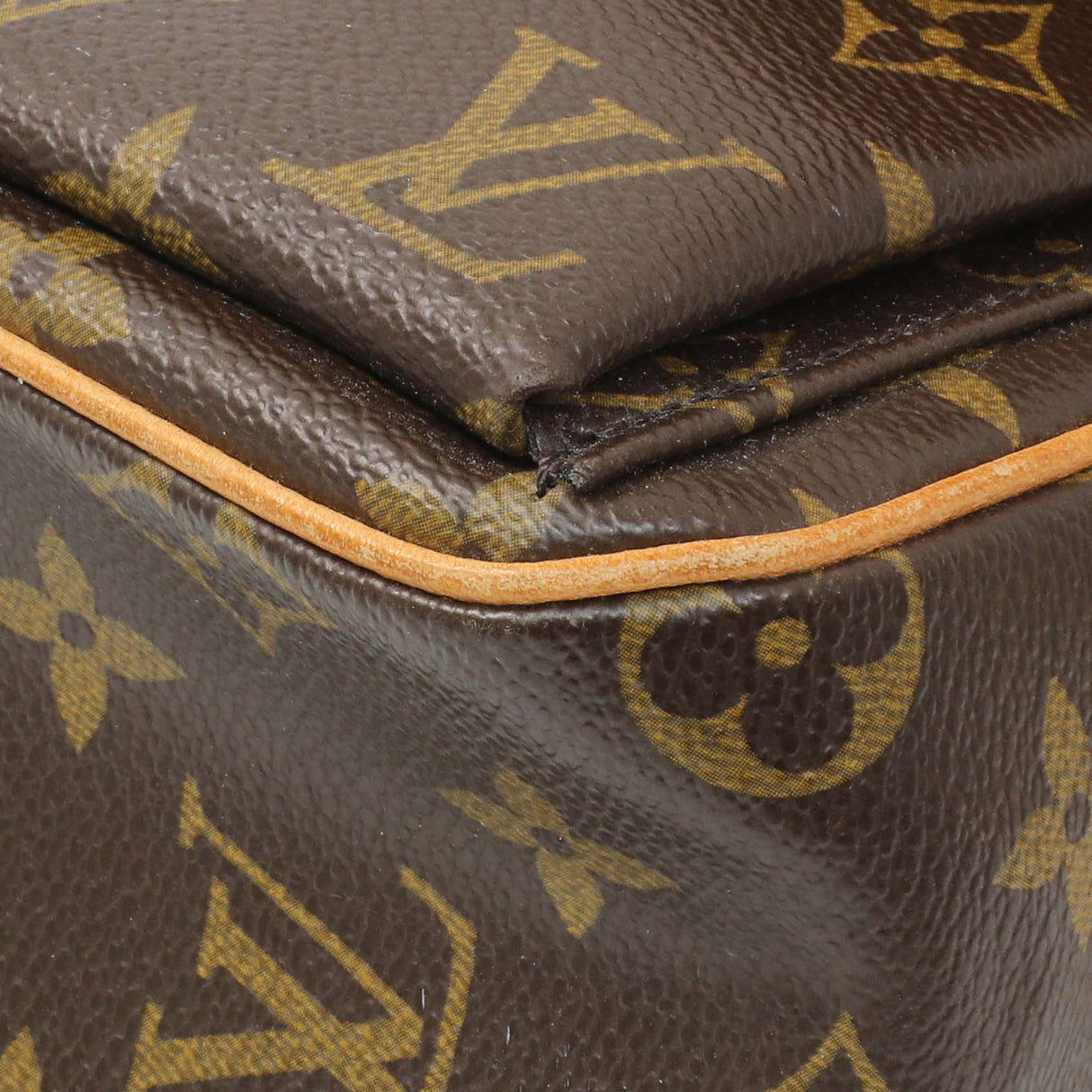 Louis Vuitton Monogram Viva Cite MM