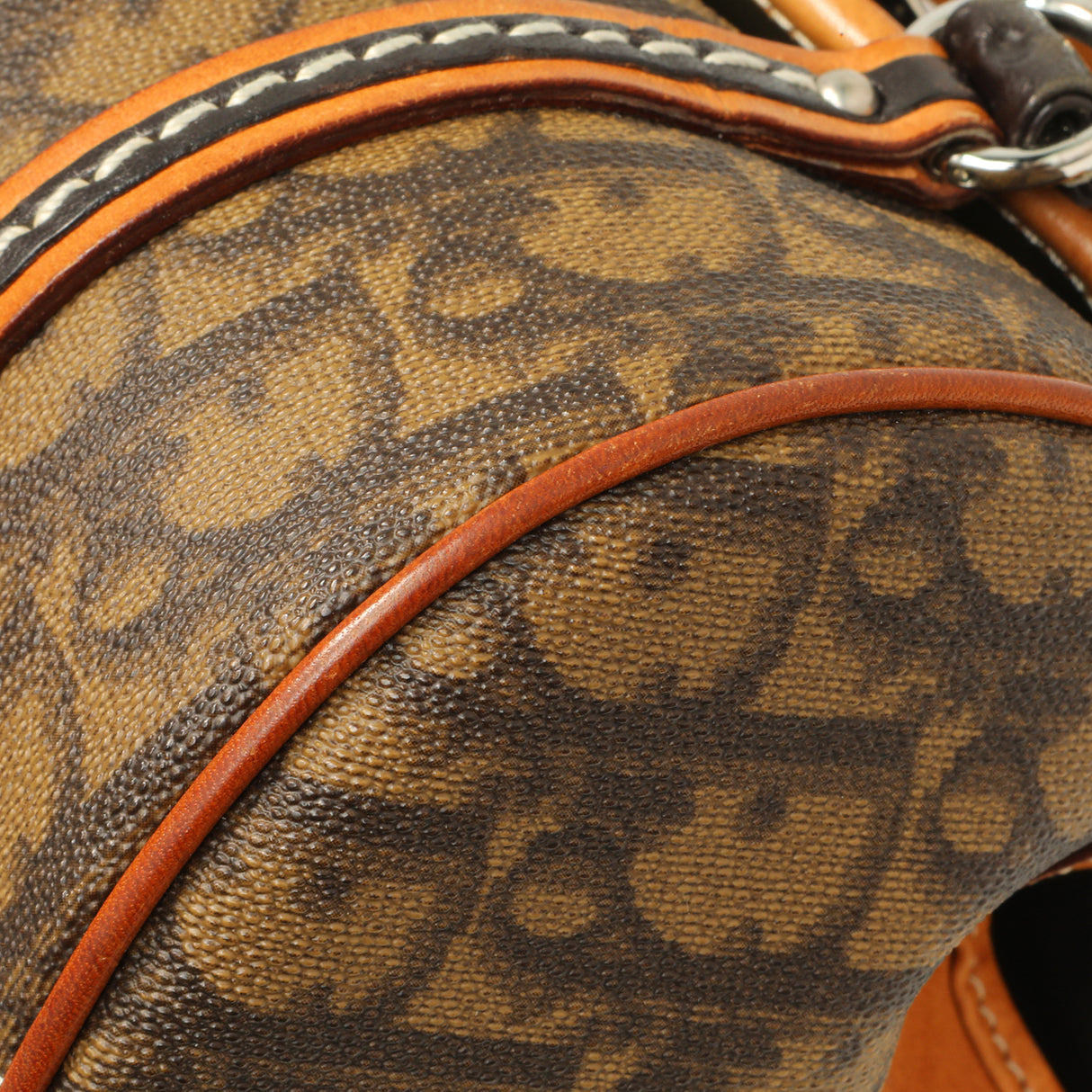 Christian Dior Monogram Romantique Trotter Flap Handbags Christian Dior