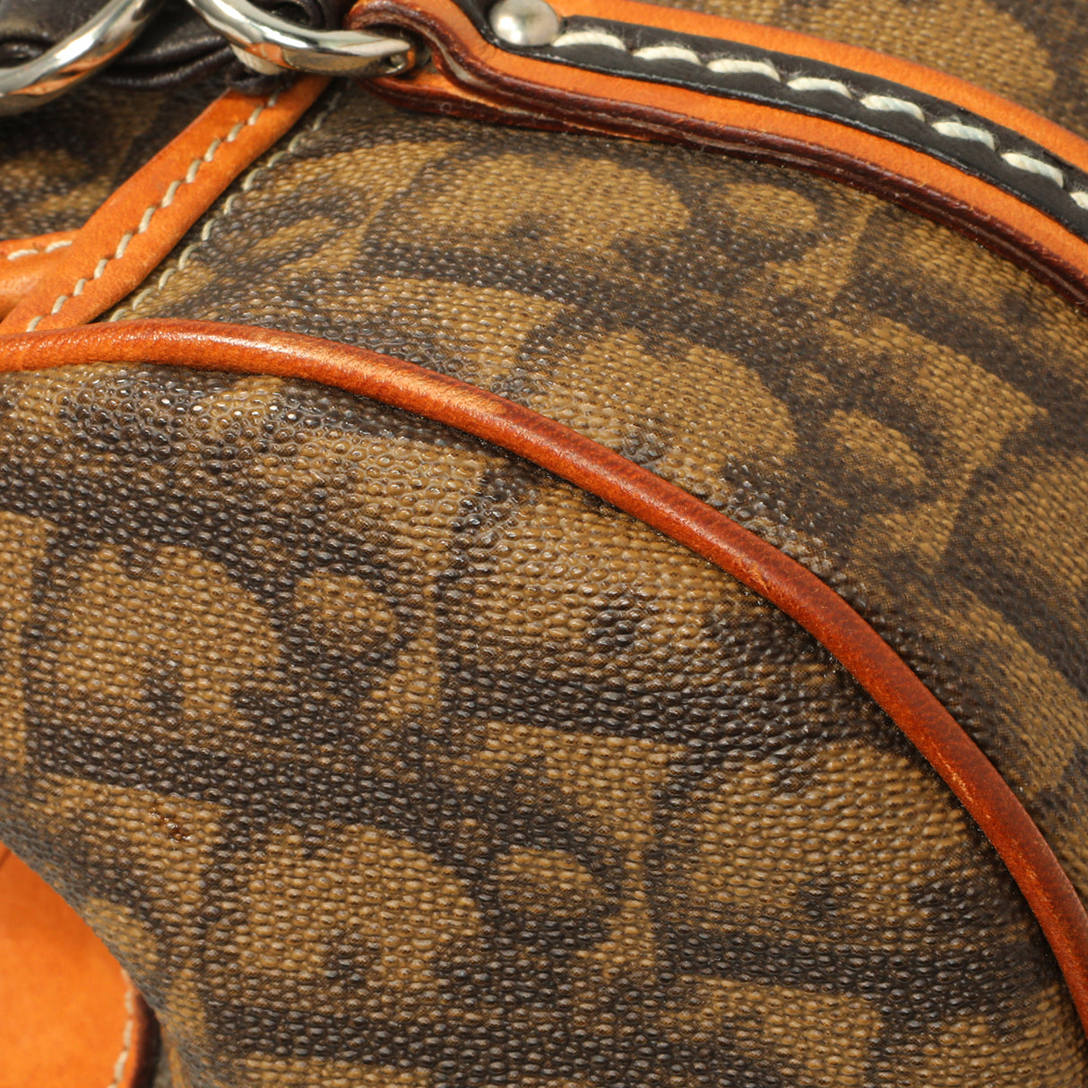 Christian Dior Monogram Romantique Trotter Flap Handbags Christian Dior