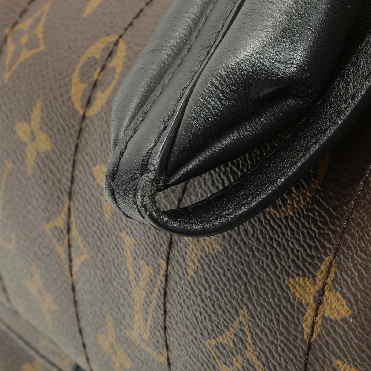 Louis Vuitton Monogram Palm Springs Backpack MM Handbags Louis Vuitton