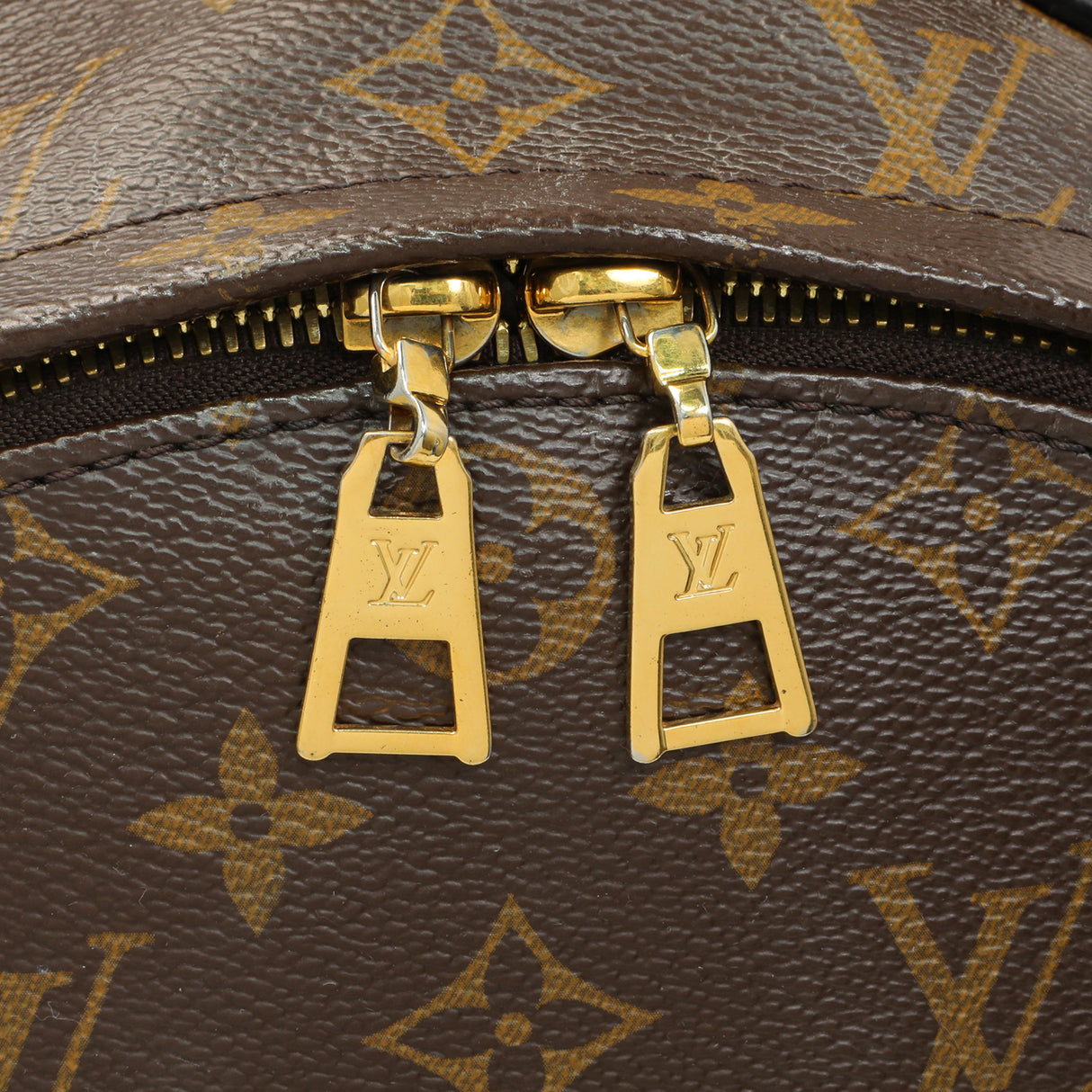 Louis Vuitton Monogram Palm Springs Backpack MM Handbags Louis Vuitton