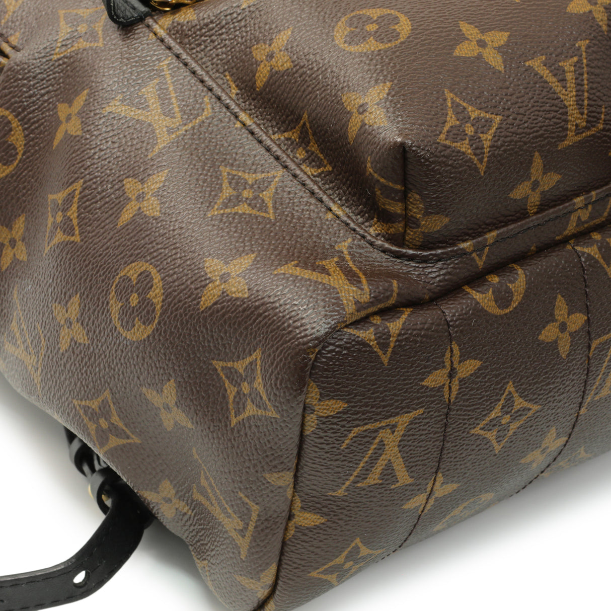 Louis Vuitton Monogram Palm Springs Backpack MM Handbags Louis Vuitton