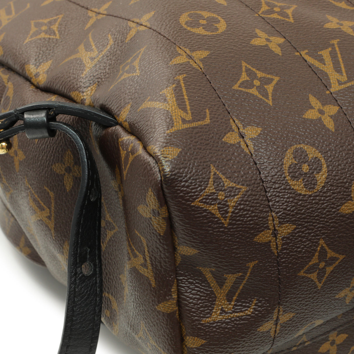 Louis Vuitton Monogram Palm Springs Backpack MM Handbags Louis Vuitton