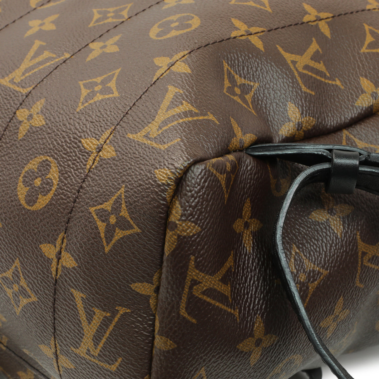 Louis Vuitton Monogram Palm Springs Backpack MM Handbags Louis Vuitton