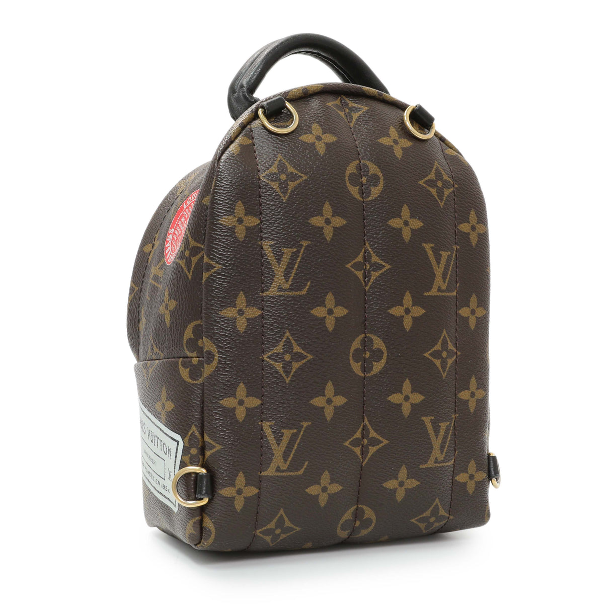 Louis Vuitton Monogram My World Tour Palm Springs Backpack Mini Handbags Louis Vuitton