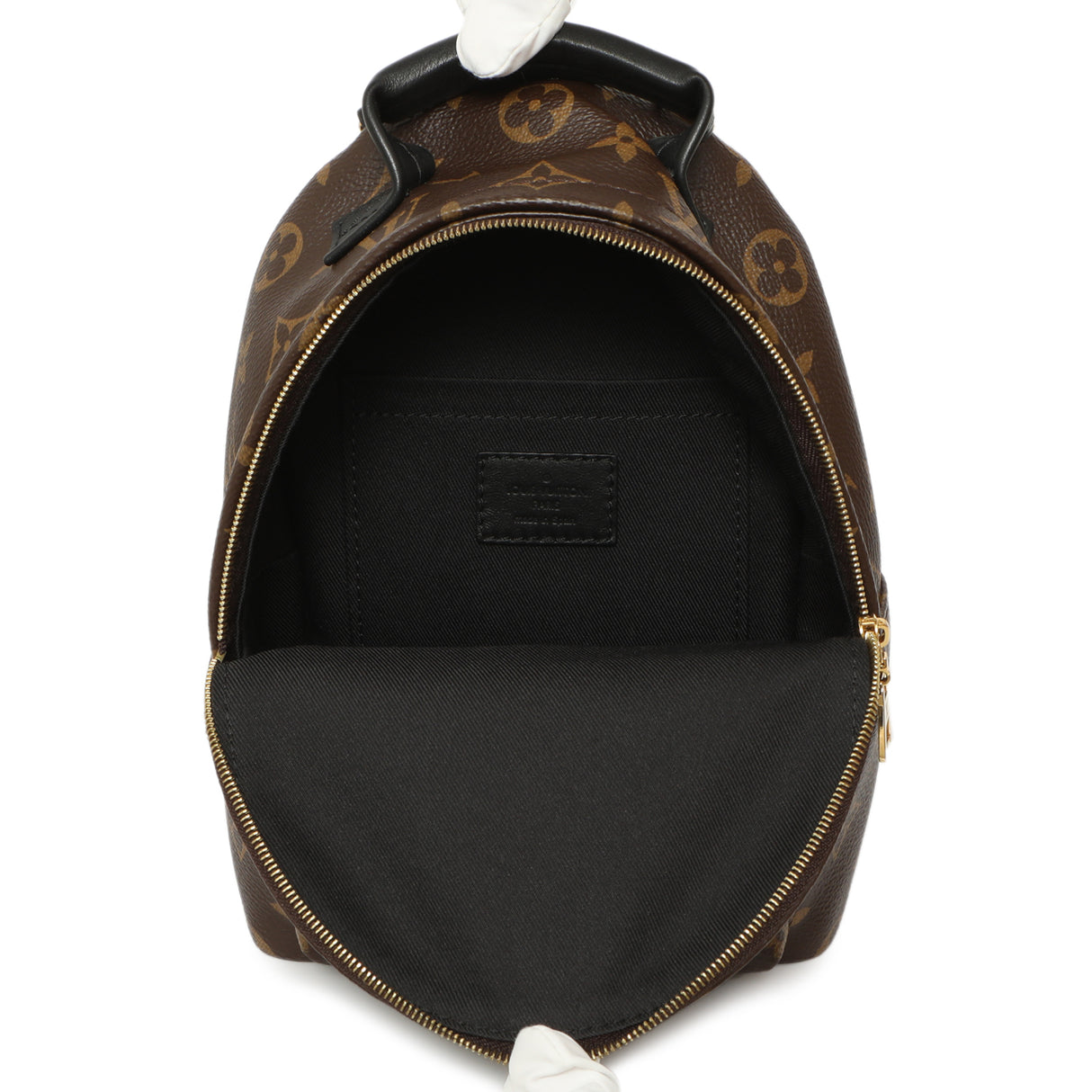 Louis Vuitton Monogram Palm Springs Backpack Mini Handbags Louis Vuitton