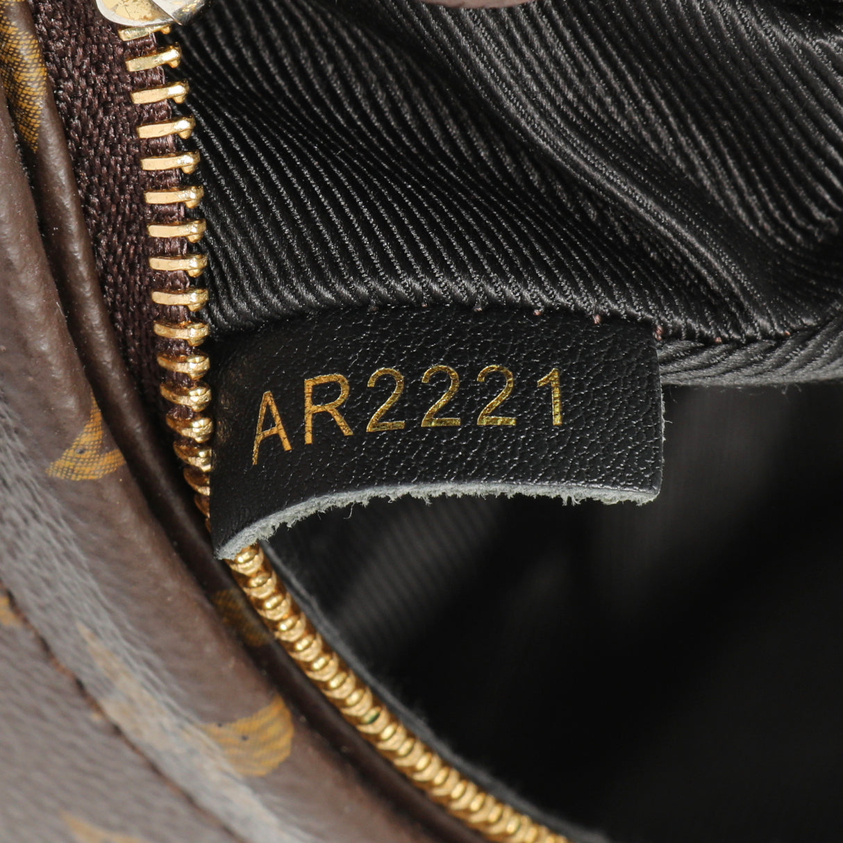 Louis Vuitton Monogram Palm Springs Backpack Mini Handbags Louis Vuitton