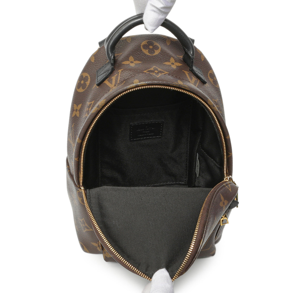 Louis Vuitton Monogram Palm Springs Backpack Mini Handbags Louis Vuitton