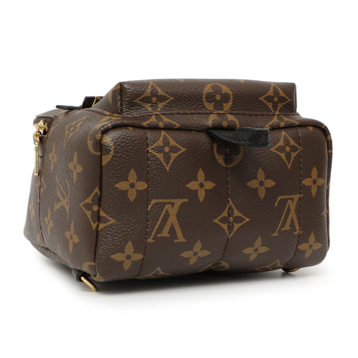 Louis Vuitton Monogram Palm Springs Backpack Mini Handbags Louis Vuitton