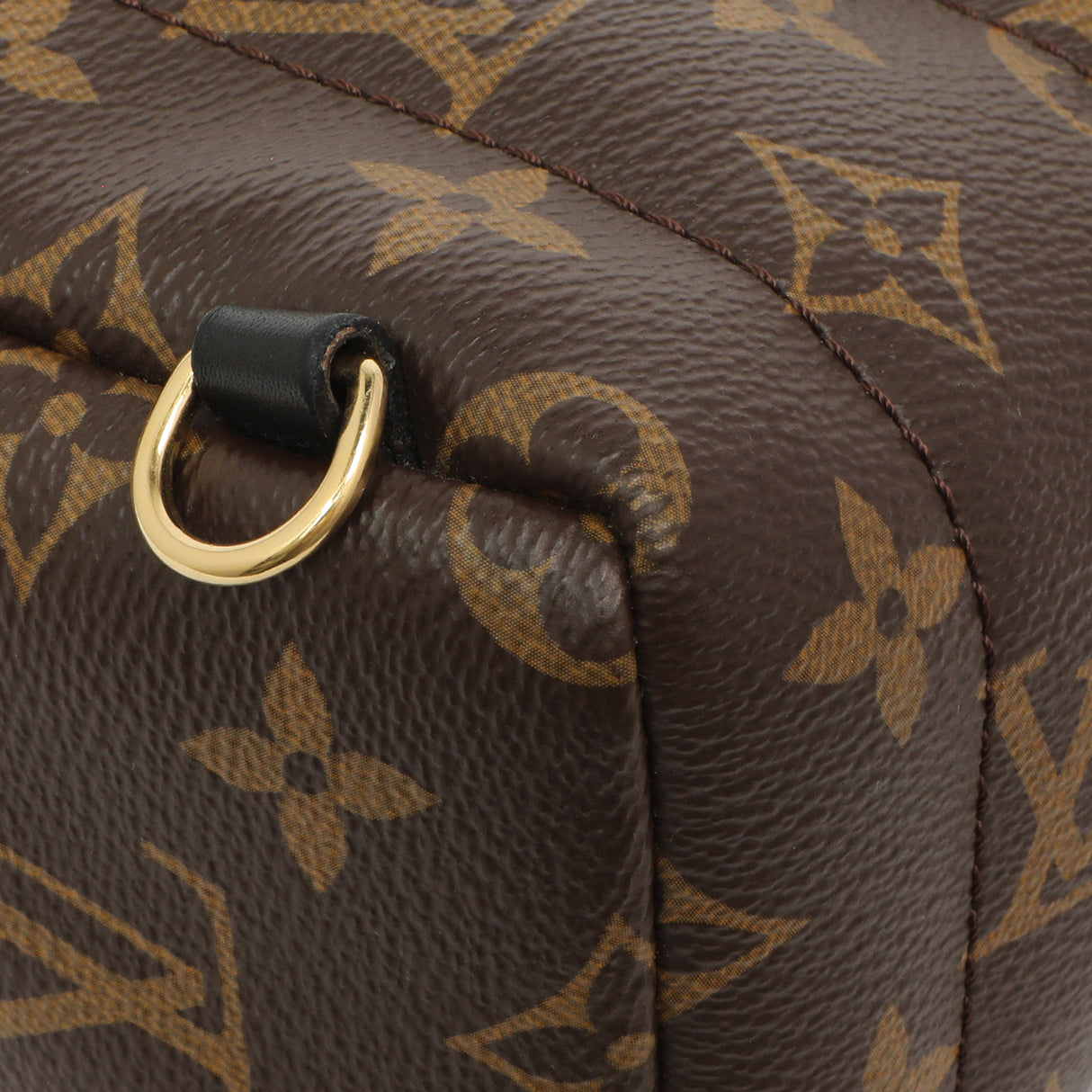 Louis Vuitton Monogram Palm Springs Backpack Mini Handbags Louis Vuitton