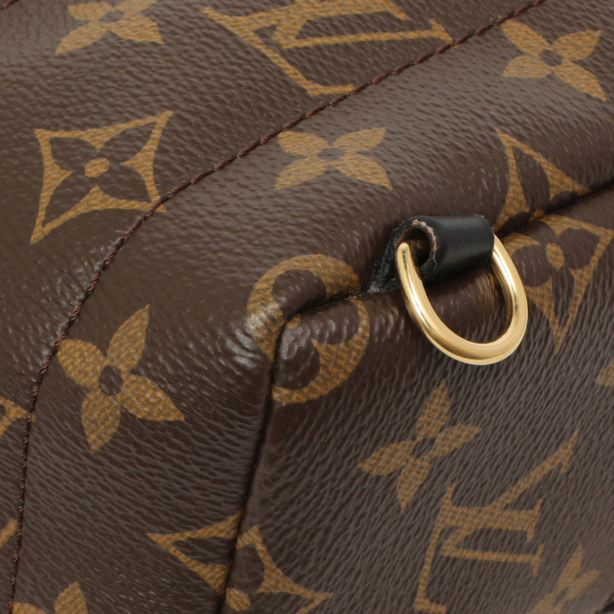 Louis Vuitton Monogram Palm Springs Backpack Mini Handbags Louis Vuitton