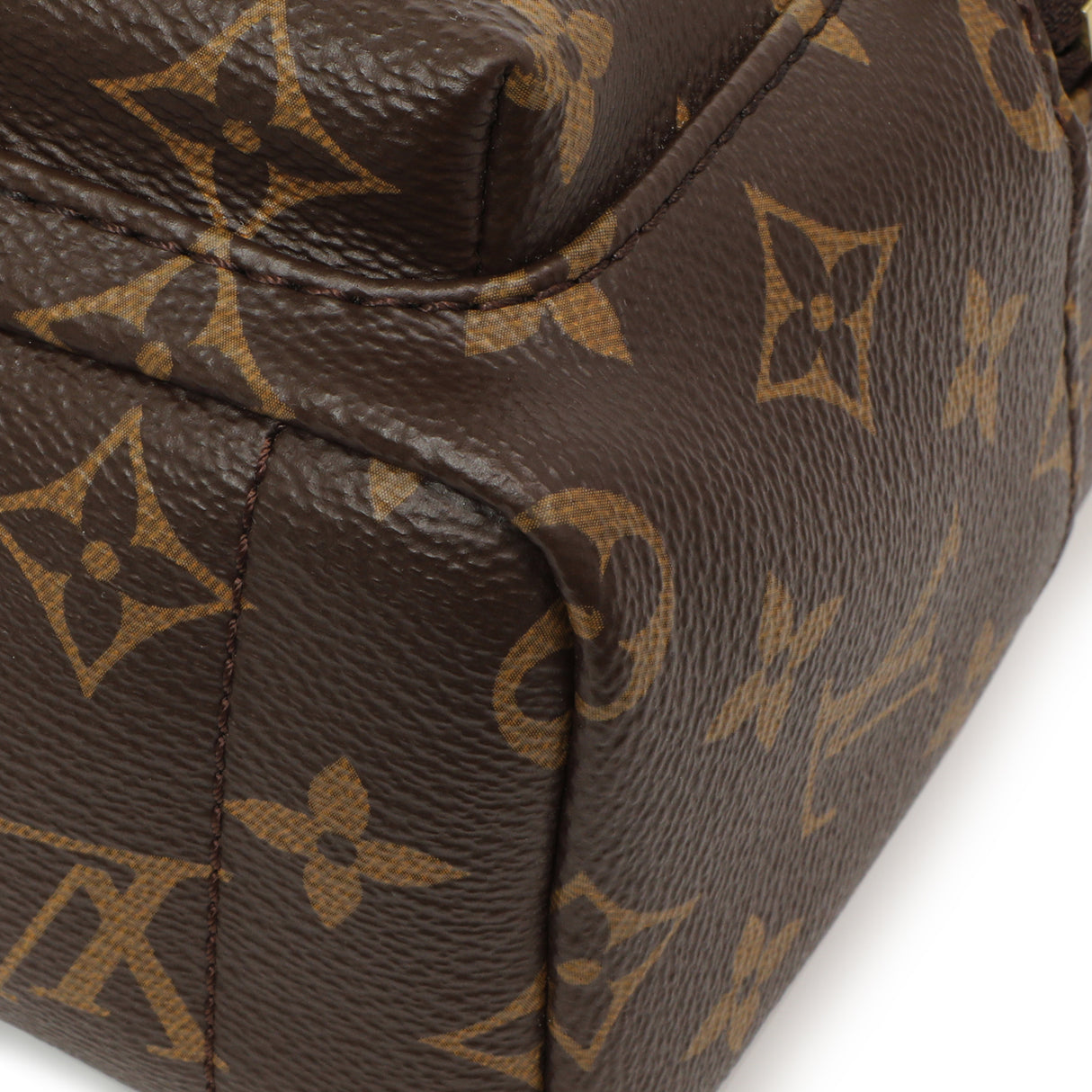 Louis Vuitton Monogram Palm Springs Backpack Mini Handbags Louis Vuitton