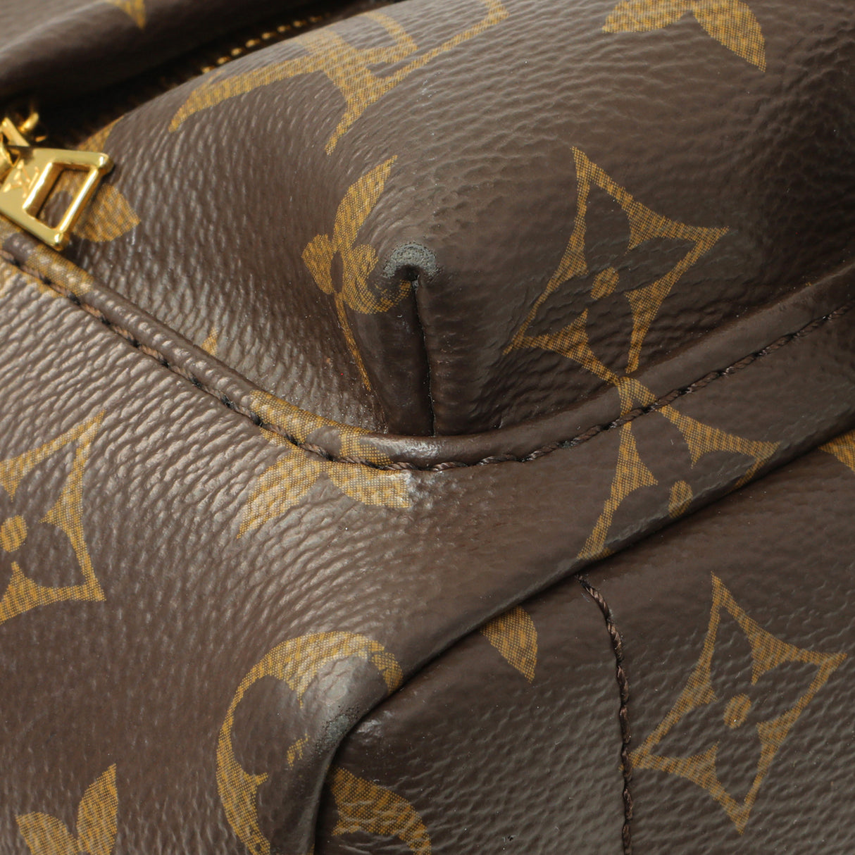 Louis Vuitton Monogram Palm Springs Backpack Mini Handbags Louis Vuitton