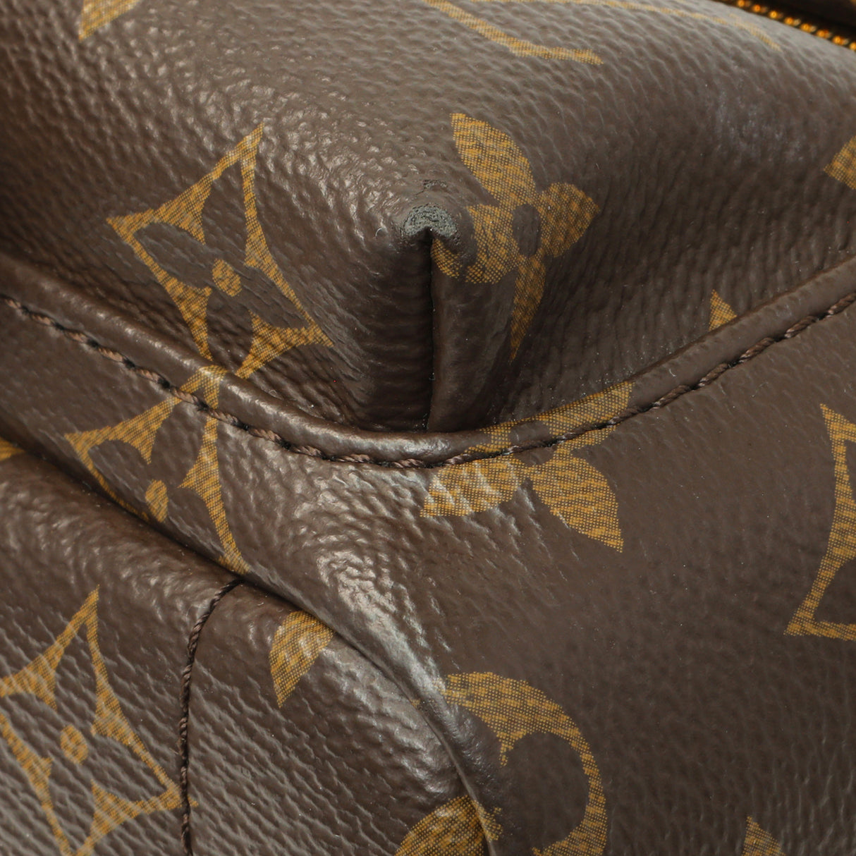 Louis Vuitton Monogram Palm Springs Backpack Mini Handbags Louis Vuitton