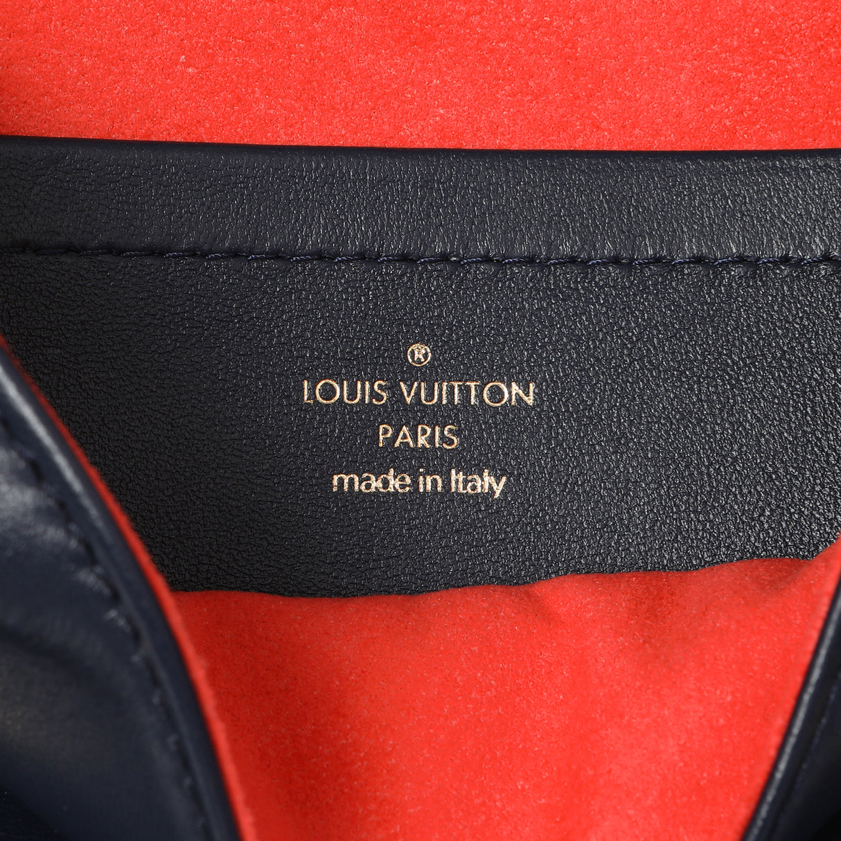 Louis Vuitton Navy LV Garden Embossed Lambskin Pochette Coussin Handbags Louis Vuitton