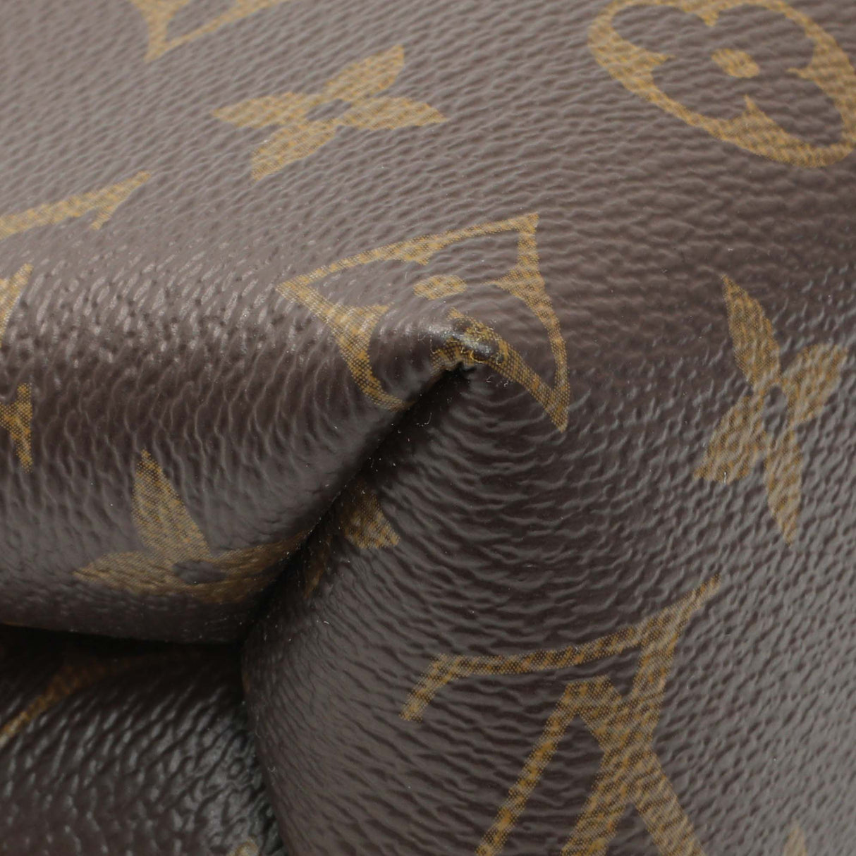 Louis Vuitton Monogram Saint Placide