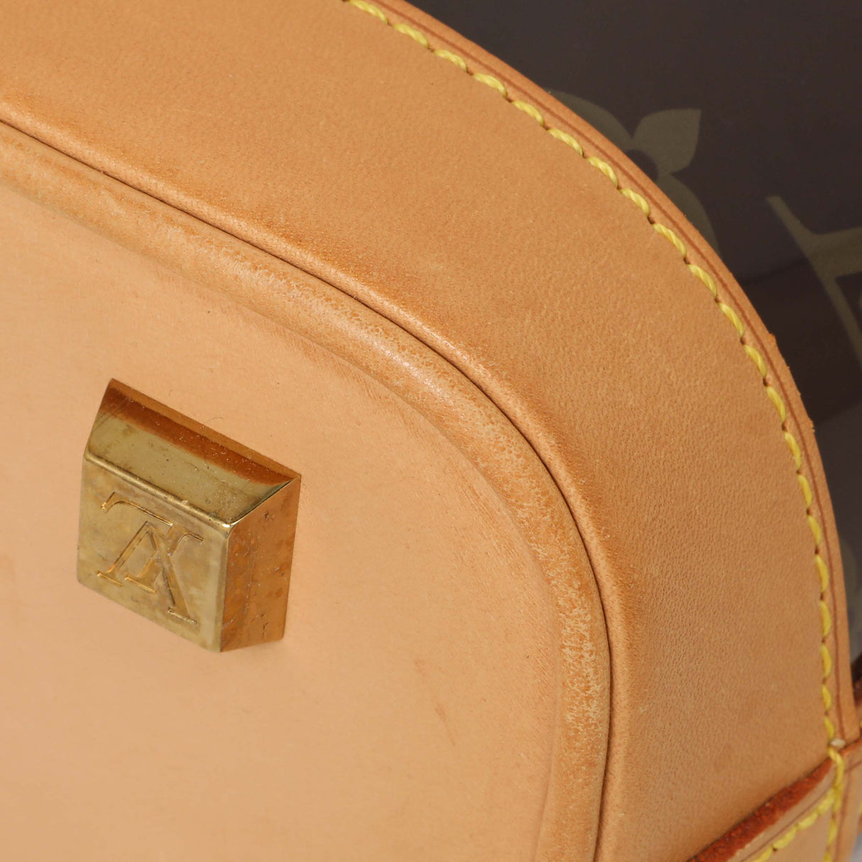 Louis Vuitton Monogram Vinyl Cabas Ambre PM Handbags Louis Vuitton