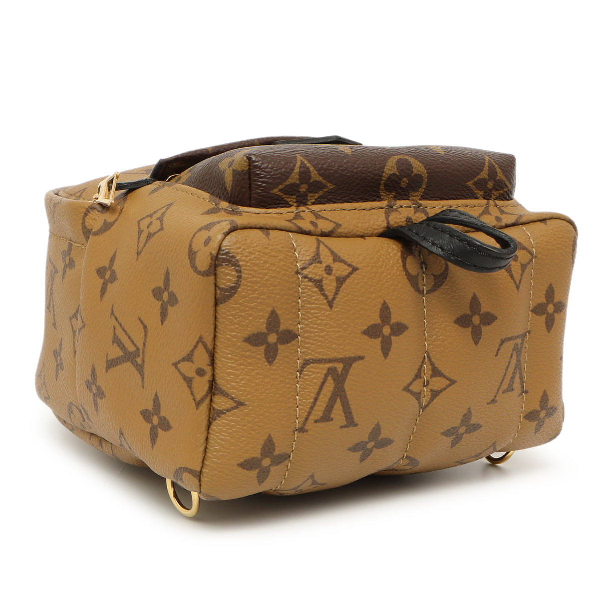 Louis Vuitton Monogram Reverse Palm Springs Backpack Mini Handbags Louis Vuitton