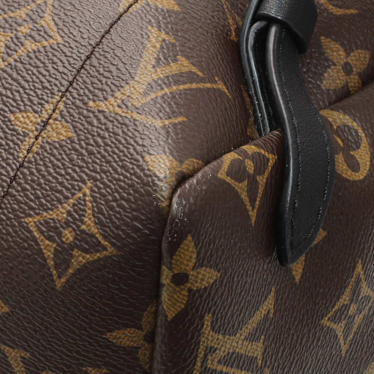 Louis Vuitton Monogram Palm Springs MM Backpack Handbags Louis Vuitton