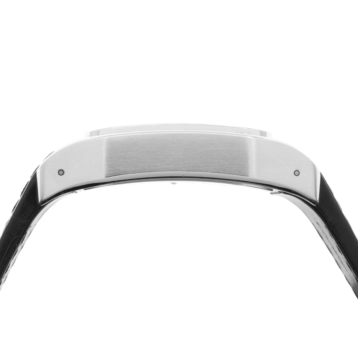 Cartier Stainless Steel Santos 100 Large Automatic W20073X8 Watches Cartier