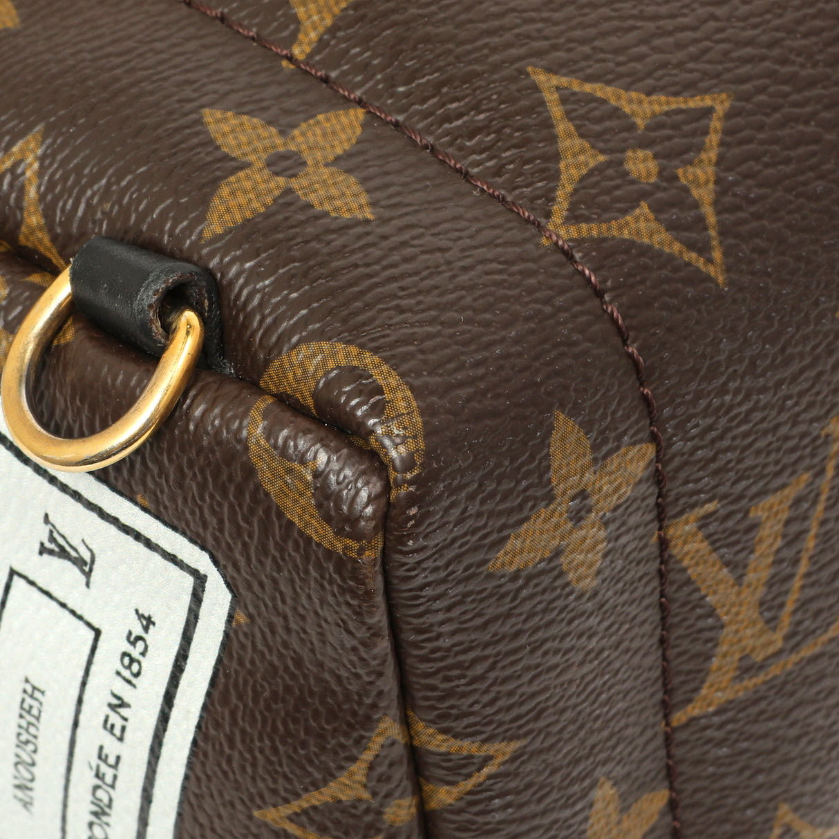 Louis Vuitton Monogram My World Tour Palm Springs Backpack Mini Handbags Louis Vuitton