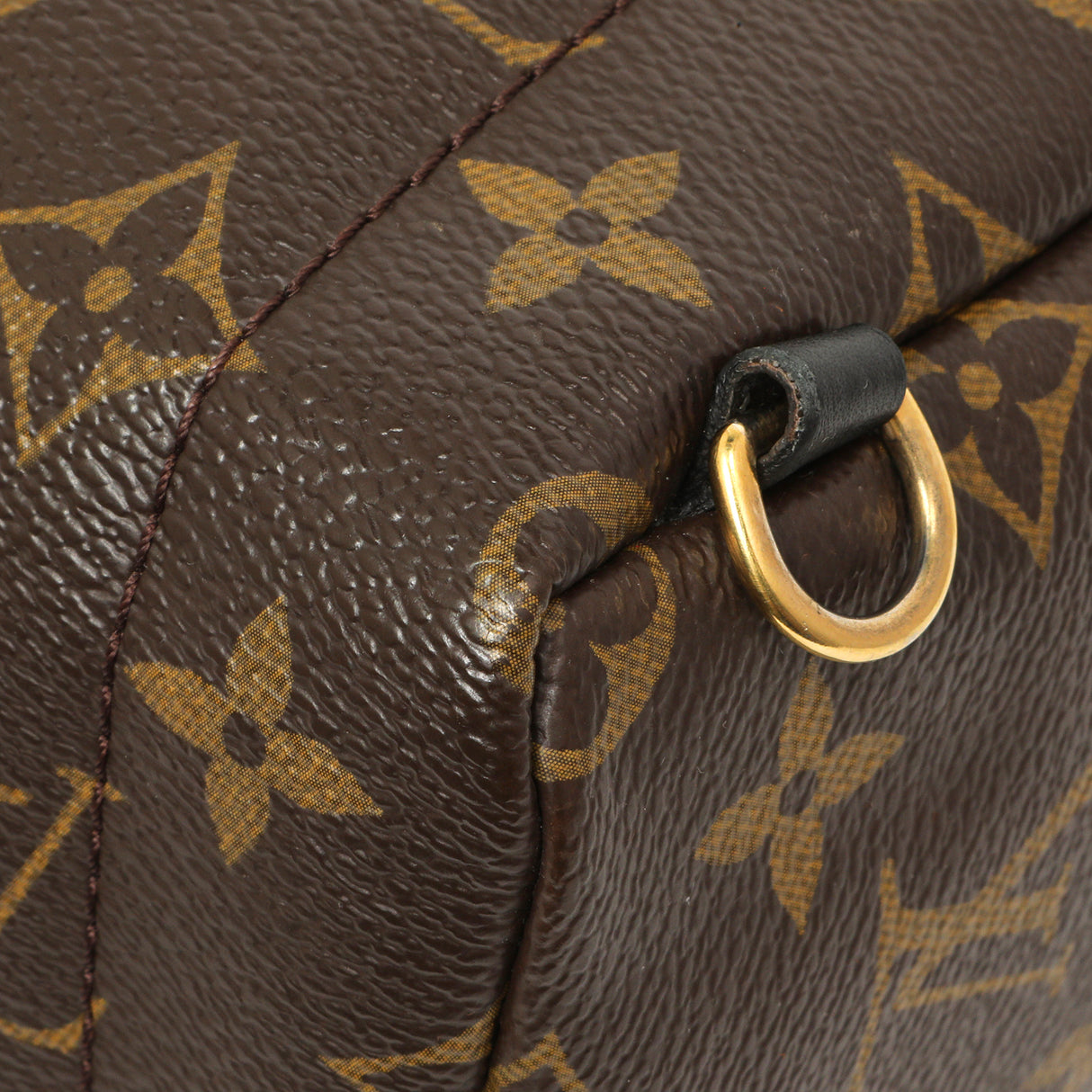 Louis Vuitton Monogram My World Tour Palm Springs Backpack Mini Handbags Louis Vuitton