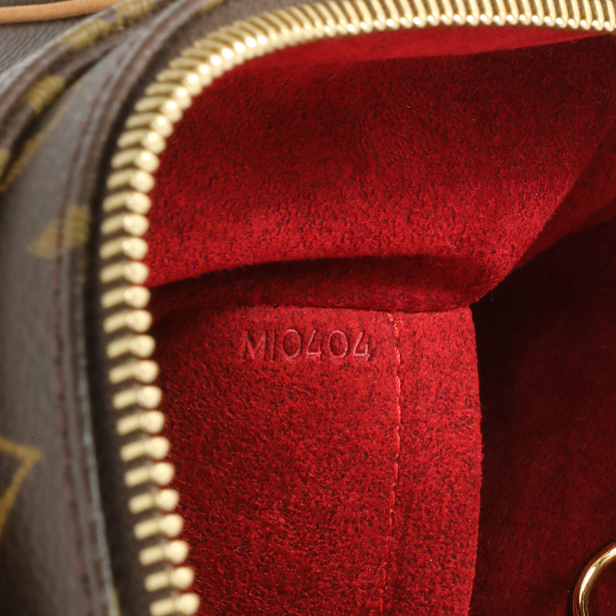 Louis Vuitton Monogram Viva Cite GM