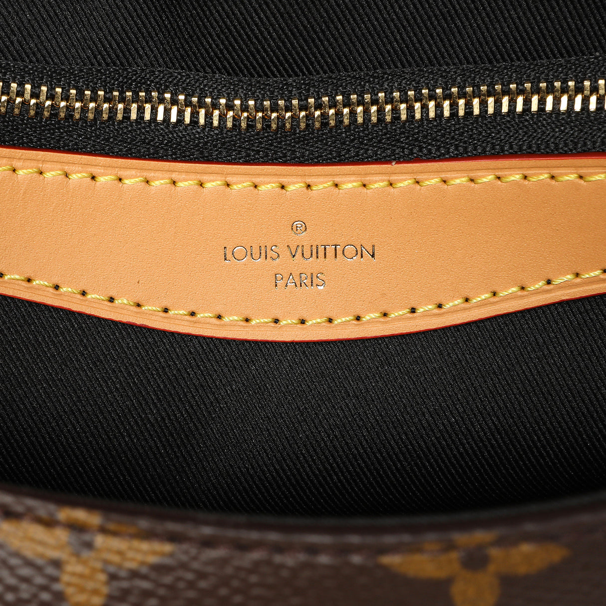 Louis Vuitton Monogram Diane Handbags Louis Vuitton