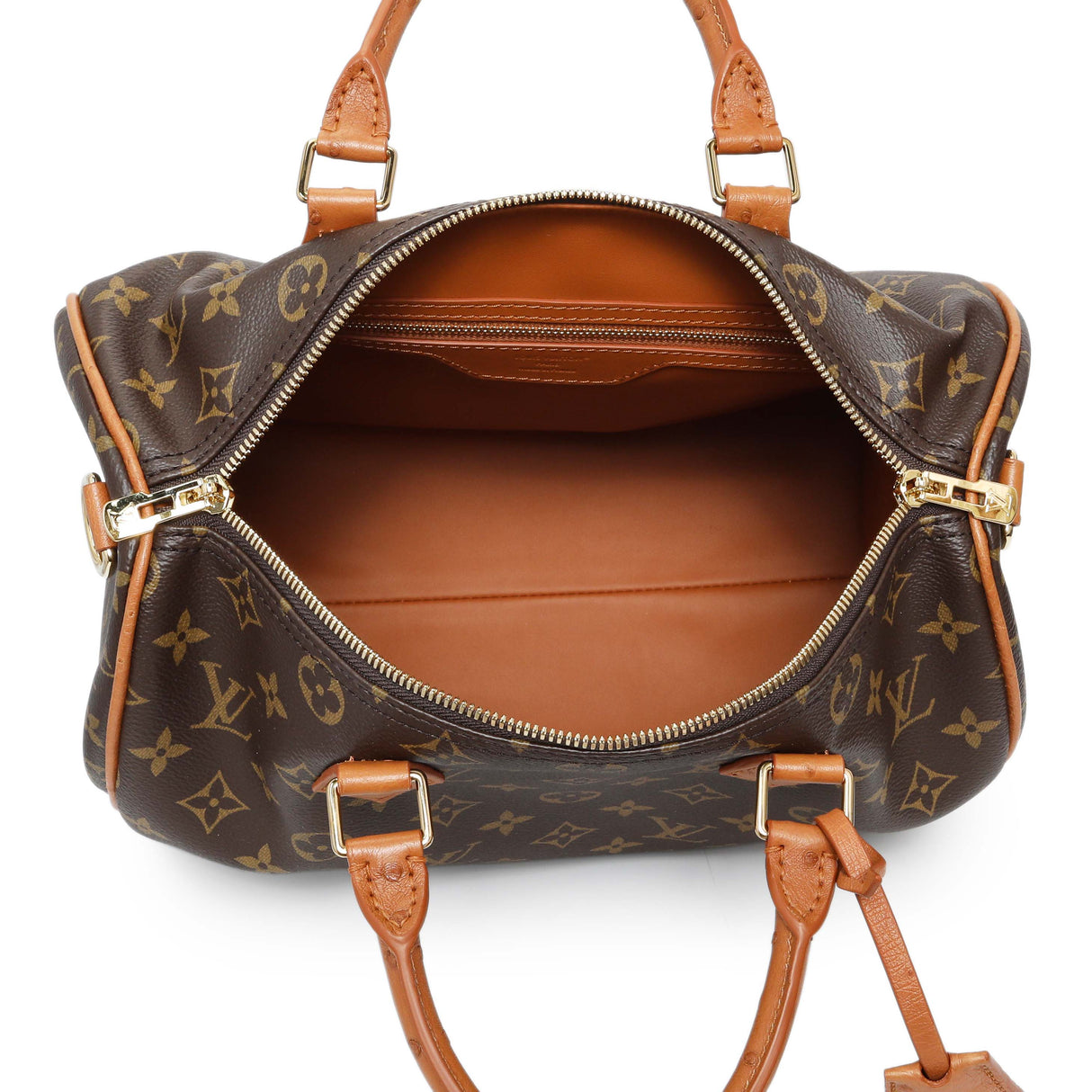 Louis Vuitton Monogram Speedy Soft 30 Boho
