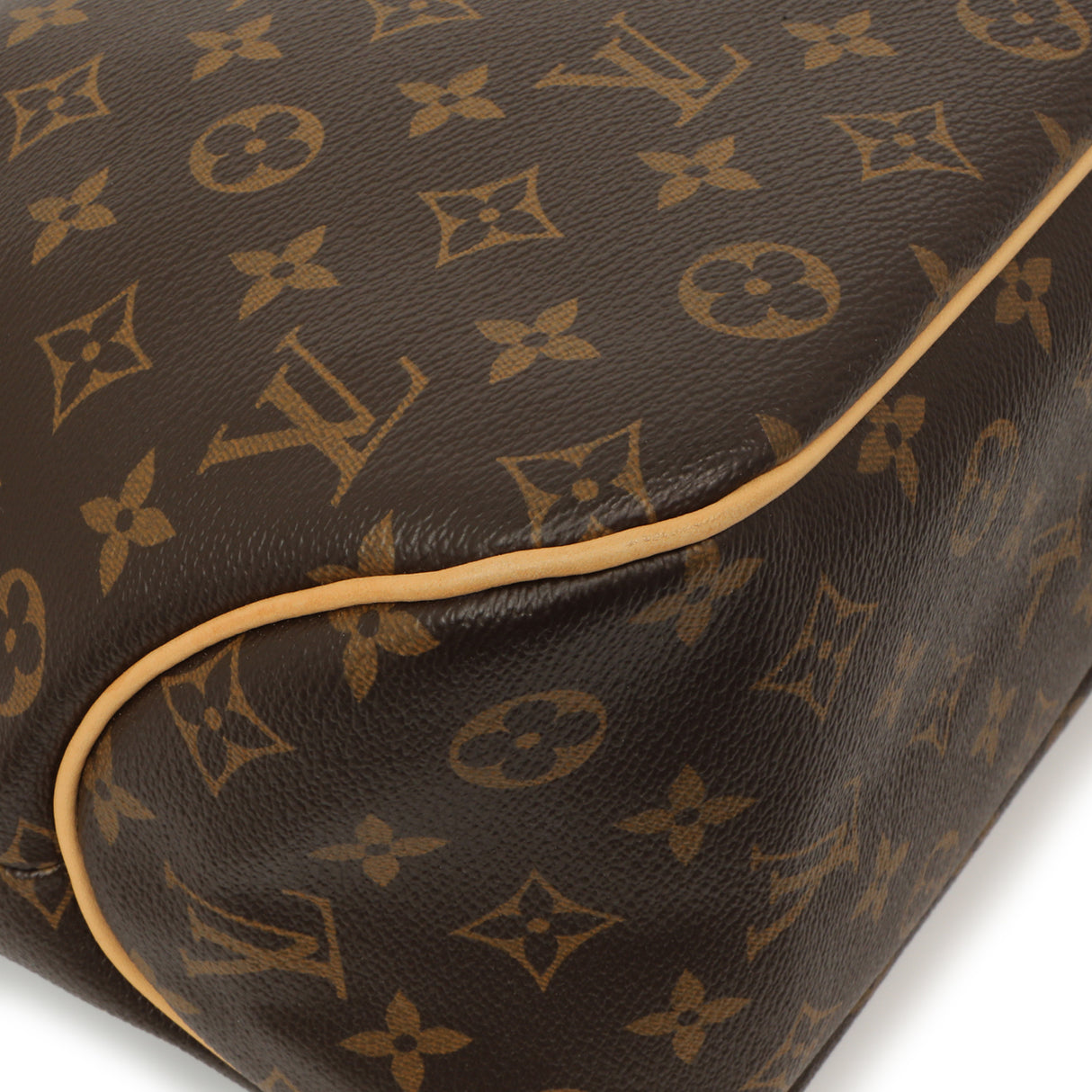 Louis Vuitton Monogram Delightful PM Handbags Louis Vuitton