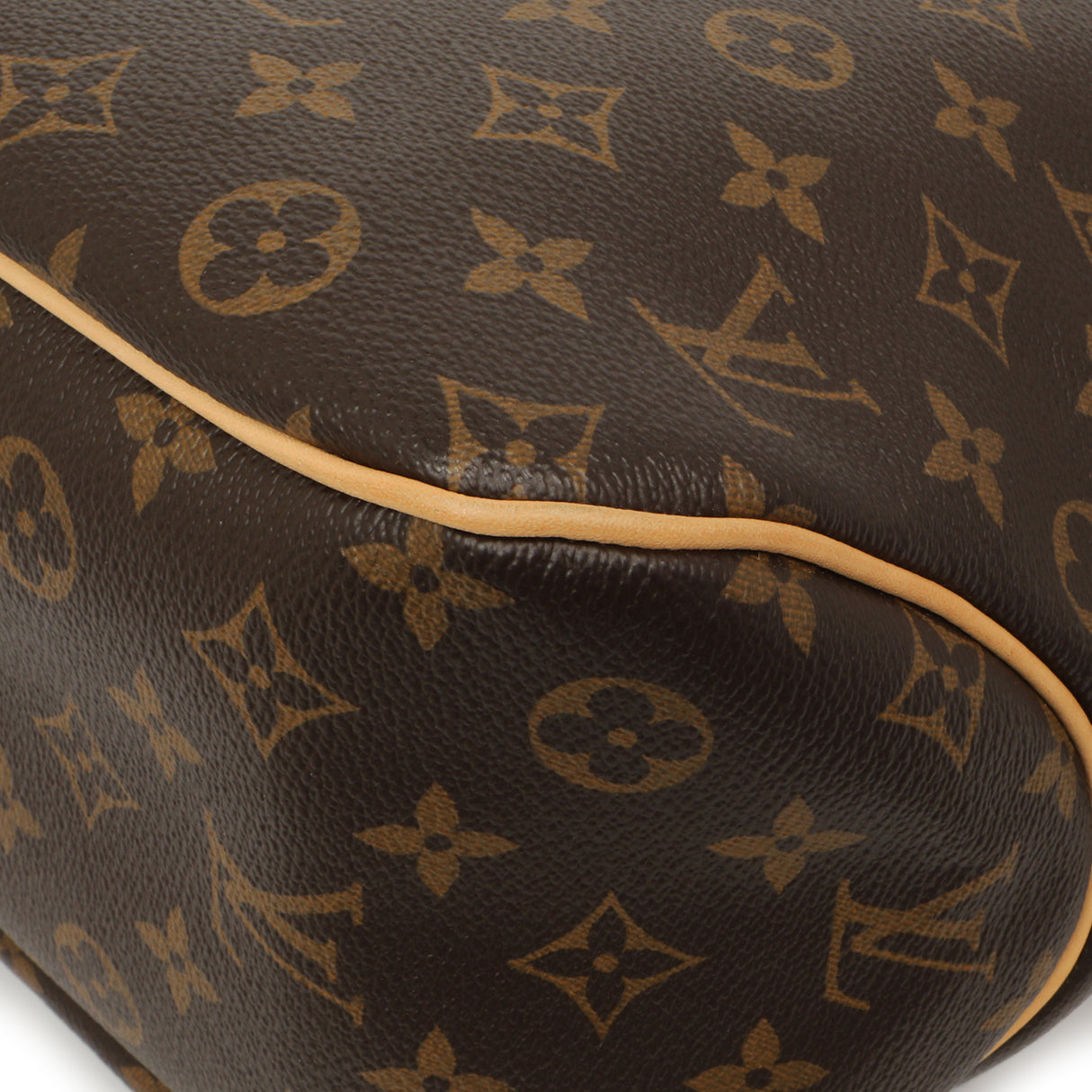 Louis Vuitton Monogram Delightful PM Handbags Louis Vuitton