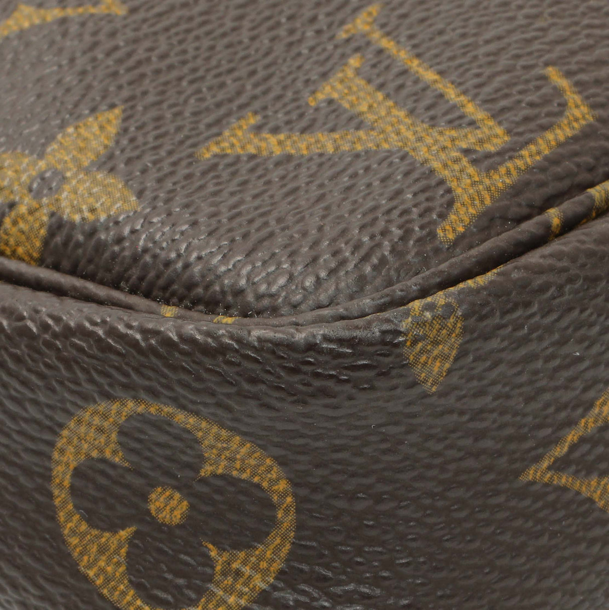 Louis Vuitton Monogram Pochette Accessories