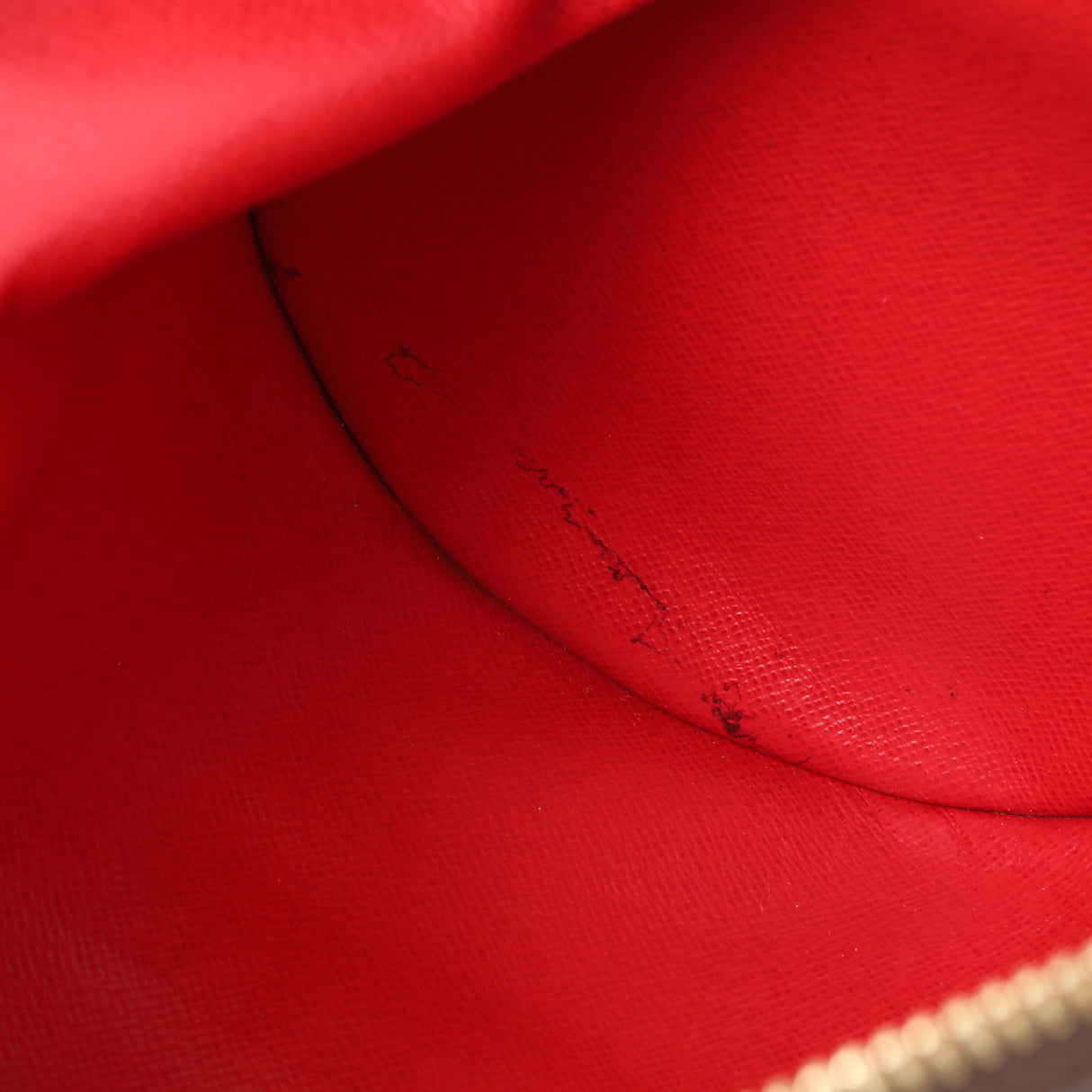 Louis Vuitton Damier Ebene Papillon 30 With Companion