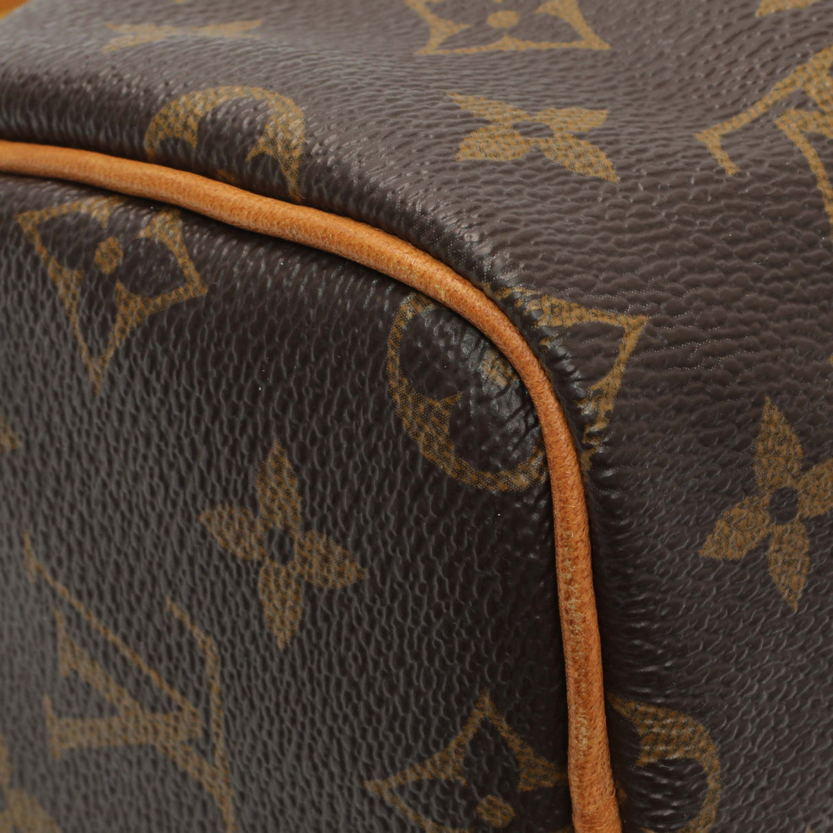 Louis Vuitton Monogram Nano Speedy Handbags Louis Vuitton
