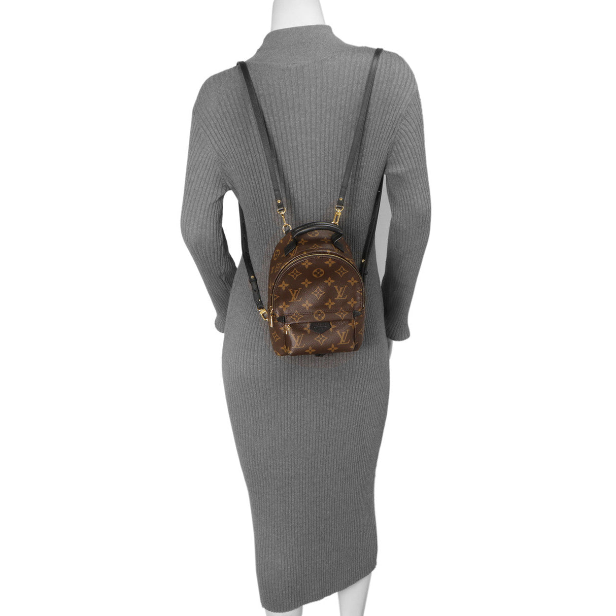 Louis Vuitton Monogram Palm Springs Backpack Mini Handbags Louis Vuitton