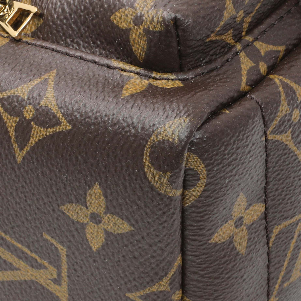 Louis Vuitton Monogram Palm Springs Backpack Mini Handbags Louis Vuitton