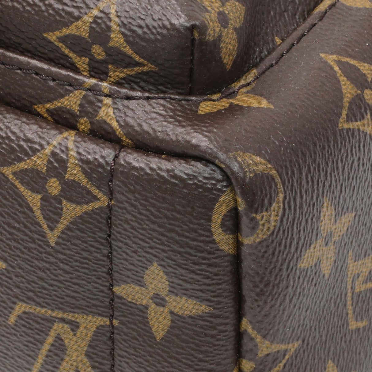 Louis Vuitton Monogram Palm Springs Backpack Mini Handbags Louis Vuitton