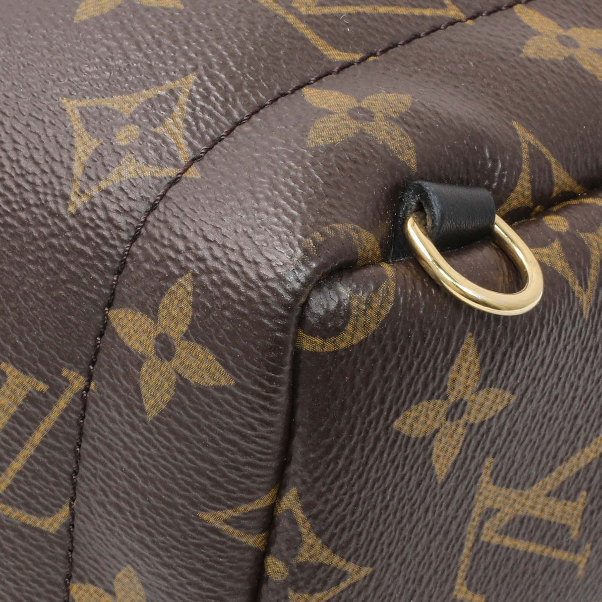 Louis Vuitton Monogram Palm Springs Backpack Mini Handbags Louis Vuitton