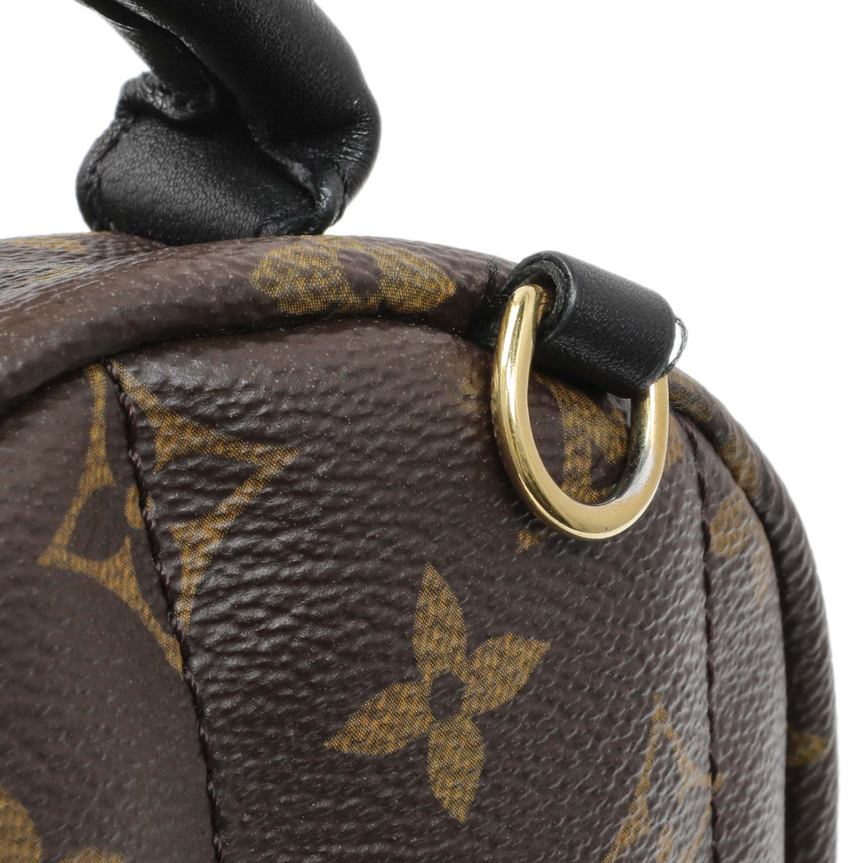 Louis Vuitton Monogram Palm Springs Backpack Mini Handbags Louis Vuitton