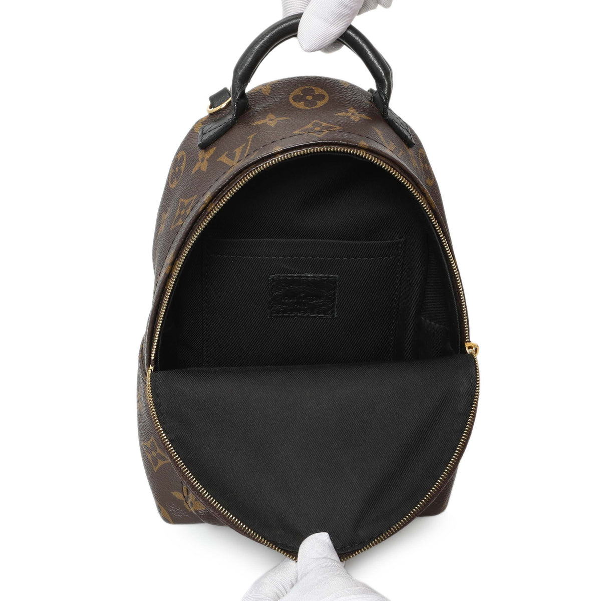 Louis Vuitton Monogram Palm Springs Backpack Mini Handbags Louis Vuitton