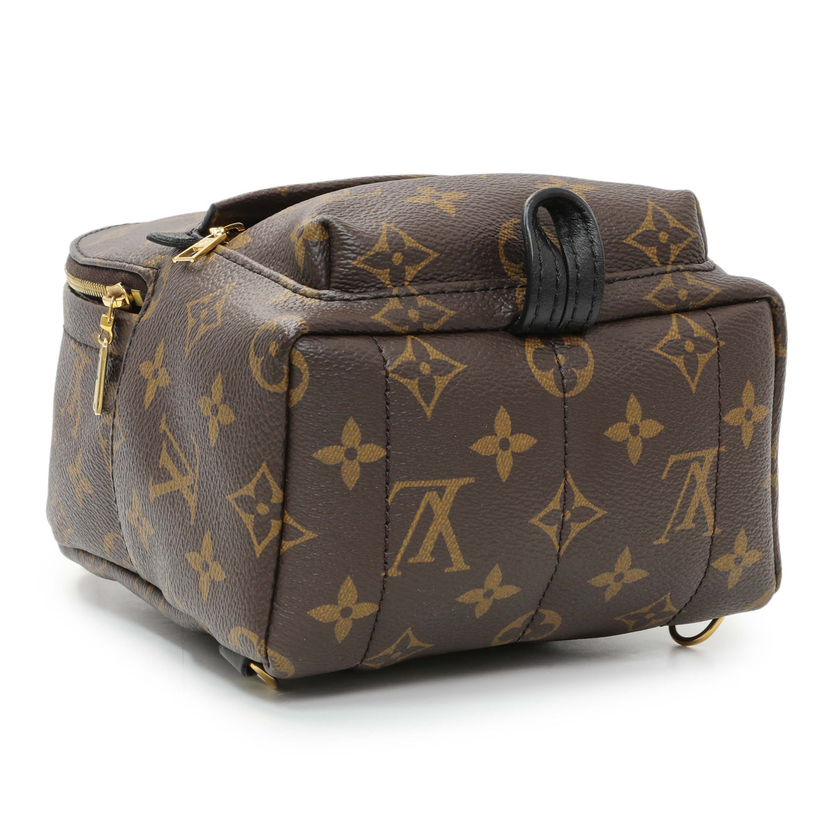 Louis Vuitton Monogram Palm Springs Backpack Mini Handbags Louis Vuitton