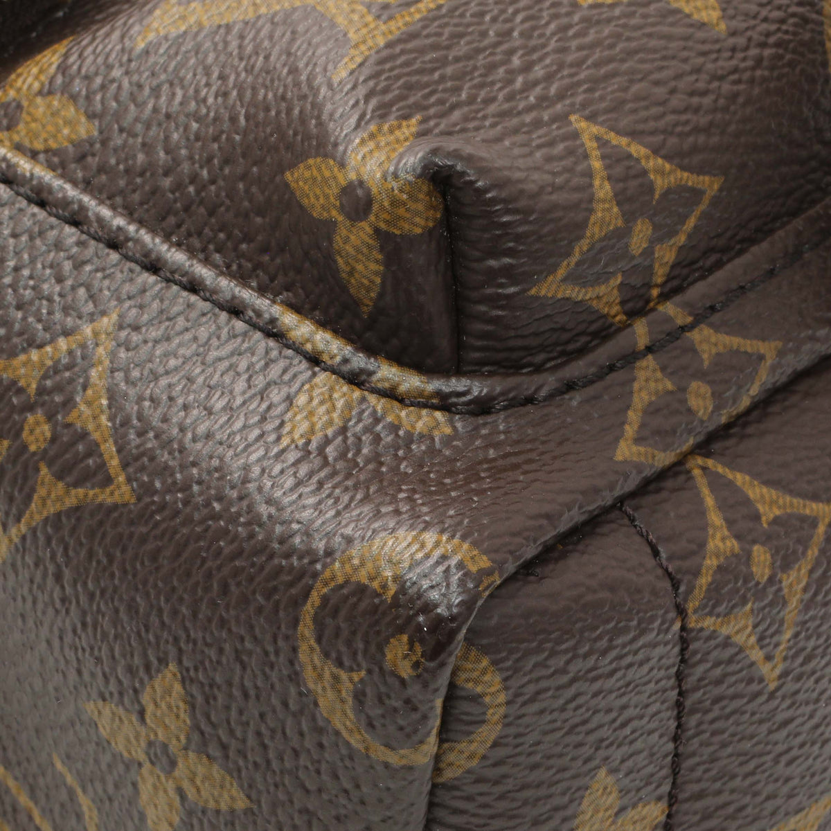 Louis Vuitton Monogram Palm Springs Backpack Mini Handbags Louis Vuitton