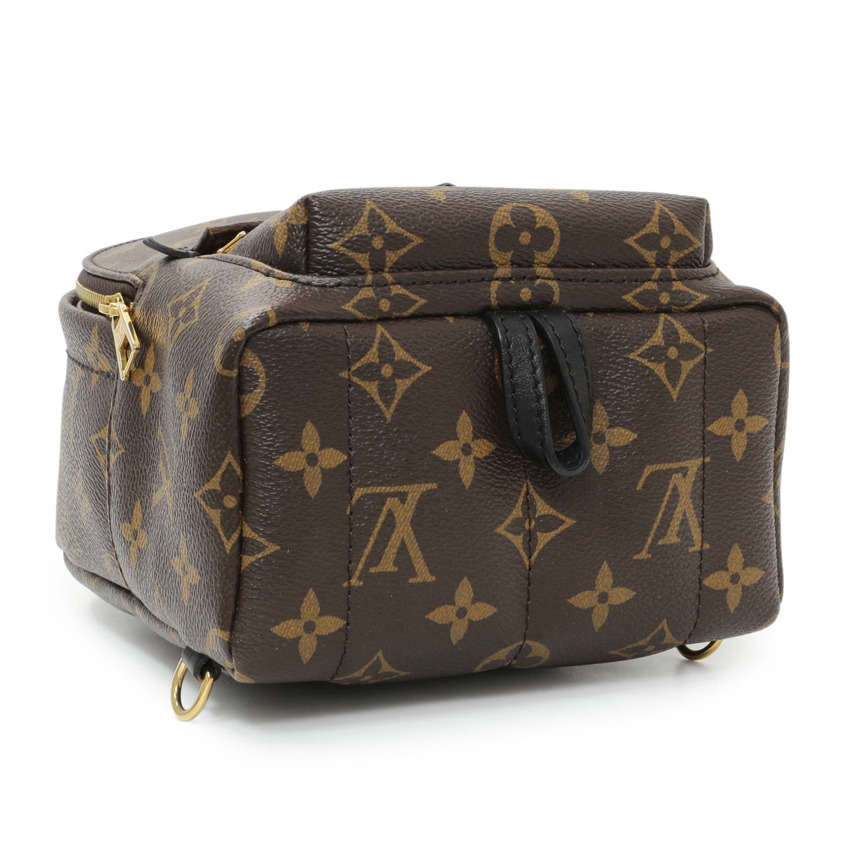 Louis Vuitton Monogram Palm Springs Backpack Mini Handbags Louis Vuitton
